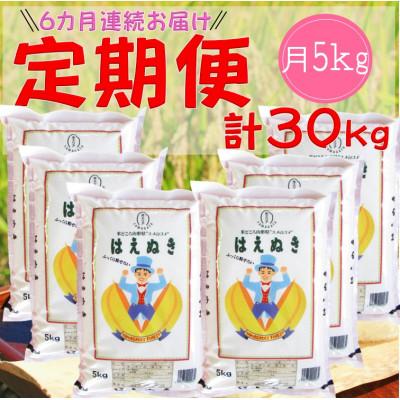 ふるさと納税 酒田市 【毎月定期便】山形県産はえぬき　精米5kg全6回
