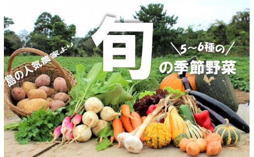 季節の野菜詰め合わせ（5〜6種）！農薬不使用だから安心安全！