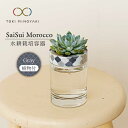 【ふるさと納税】【美濃焼】SaiSui Morocco（Gray）植物付き【大東亜窯業】インテリア 雑貨 観葉植物 [MAG070]