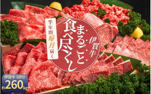 【月3×6回　計18回発送】肉の横綱　伊賀牛まるごと食べ尽くし【cook-tkb0004】