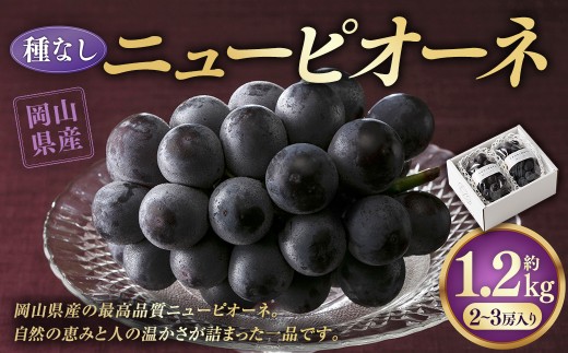 ニューピオーネ 1.2kg （2～3房）【2026年8月下旬-9月下旬発送予定】／ ぶどう 葡萄 果物 果実 フルーツ 種なし 大粒 甘味 岡山県 美咲町 冷蔵