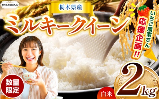 【栃木県共通返礼品】【先行予約】 訳あり 数量 限定 定期便 令和8年度産 ミルキークイーン 約 2kg | とちぎの星 ミルキークイーン  玄米 白米 ごはん おいしい  ふるさと納税 那珂川町 栃木県