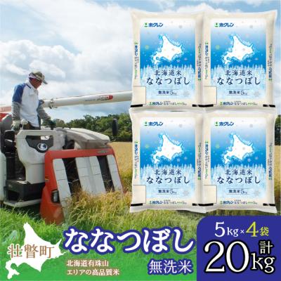 ふるさと納税 壮瞥町 【令和7年産】(無洗米20kg)ホクレン北海道ななつぼし(5kg×4袋) SBTD124