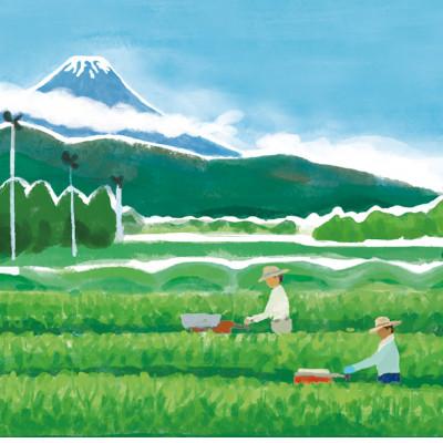 ふるさと納税 沼津市 するがの風 100g×2袋 |  | 01