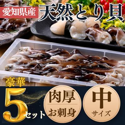 ふるさと納税 南知多町 純国産【貝専門店】 肉厚 トリ貝 刺身 【中9枚入り】5セット 岬だより