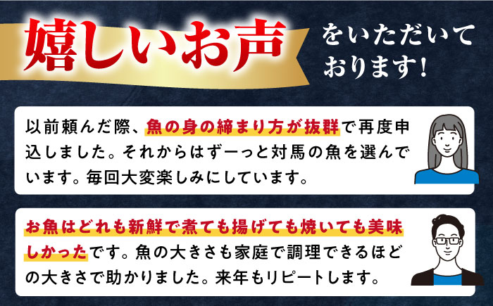 対馬 活〆 島魚セット 2.5〜3kg《対馬市》【対馬地域商社】 [WAC004]新鮮 鮮度 直送 冷蔵 鮮魚 刺身 海鮮 魚介 鯛めし 煮付け 魚 ぶり まぐろ 刺し身 定置網 おかず 一品 味噌汁