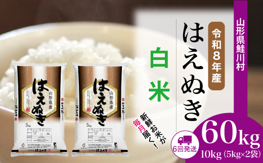 ＜令和8年産米＞ 令和9年4月下旬より発送  はえぬき【白米】60kg定期便(10kg×6回） 山形県鮭川村