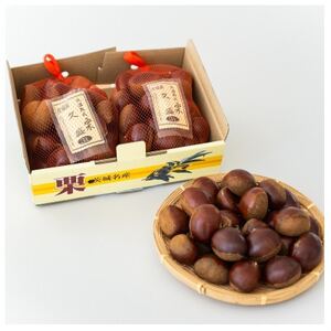 かすみがうら市産 熟成栗3L　2kg_果物・フルーツ 栗  くり クリ_【1564550】