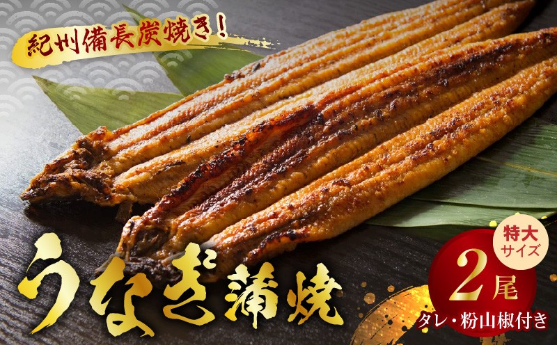 
V6201_炭焼きうなぎ蒲焼　特大サイズ2尾セット（約200g前後×2尾）タレ・粉山椒付き　国産鰻　冷凍ウナギ　1尾ずつ真空パック　土用の丑の日　紀伊国屋文左衛門本舗
