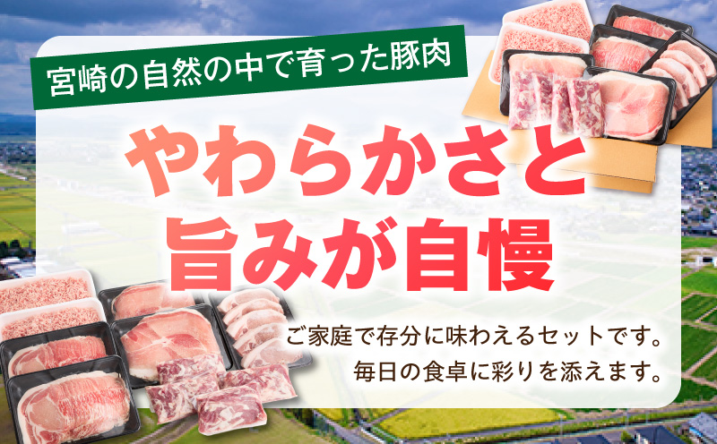 宮崎県産豚4.5kg 満載Bセット 豚 豚肉 豚肩ロース 豚ロース モモ ウデ スライス 切り落とし ミンチ しゃぶしゃぶ とんかつ ぶた肉 炒め物 冷凍 豚汁_M241-021-03