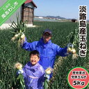 【ふるさと納税】淡路島産玉ねぎ 5kg