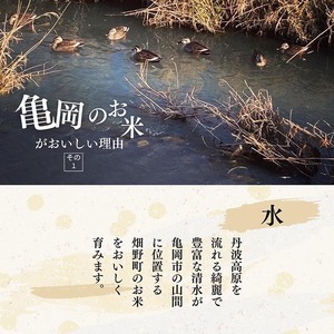 最優秀賞受賞米 キヌヒカリ 5kg【京都丹波米おいしいお米コンテスト】入賞（最優秀賞） 米 京都 丹波 きぬひかり 数量限定