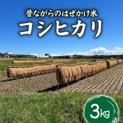 ふるさと納税 東御市 昔ながらのはぜかけ米コシヒカリ　白米3kg(令和8年産新米) 【ならはら農園】