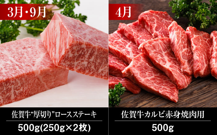 【全12回】 A5ランク 佐賀牛 霜降り 食べ比べ 定期便 約2-3人前 総計6.8kg 50万 /焼肉どすこい [UCC004] 最高級 牛肉 肉 ステーキ スライス ローストビーフ 焼肉