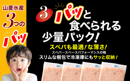 【ネギトロ】ミニパッとろ丼240g(約40g×12袋) ねぎとろ 【いわき市】
