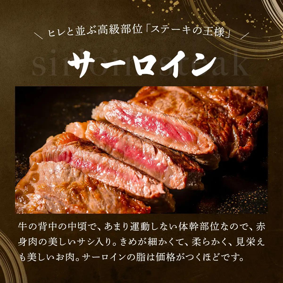 佐賀牛サーロイン・佐賀牛柔らかハンバーグステーキ（計920g） 