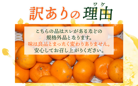 温州みかん ご家庭用 5kg みかん ミカン 蜜柑 mikann  