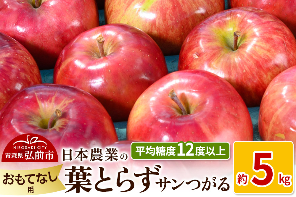 りんご 【先行受付】平均糖度12度以上！ 葉とらずサンつがる 約5kg おもてなし用