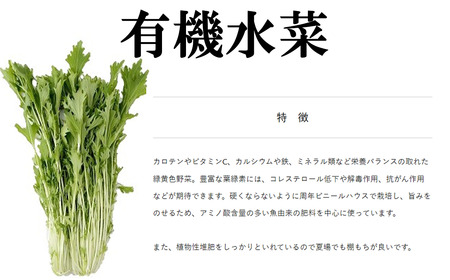【3ヵ月定期便】すっぴん有機やさいセット(小松菜・水菜・ロメインレタス)【 茨城県 つくば市 定期 定期便 野菜 小松菜 ロメインレタス 野菜 水菜 鍋 鍋もの 野菜 やさい ベジタブル 野菜 有機野