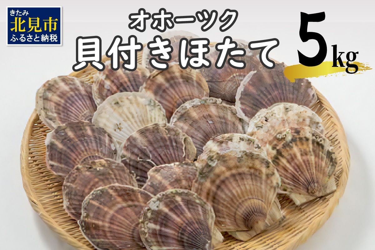 【予約：2025年3月下旬から順次発送】オホーツク貝付きほたて 5kg(30枚～50枚)( 海鮮 魚介 魚介類 貝 貝類 ホタテ ほたて 帆立 殻付き 貝柱 贈答 ギフト 贈り物 お中元 お祝い BBQ バーベキュー )【031-0011-2025】