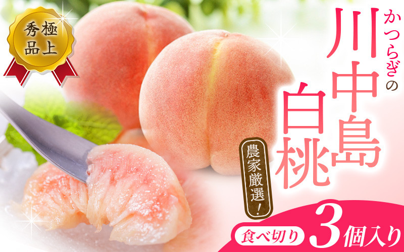 
【秀品】川中島白桃 食べきりやすい3個入り 【2025年7月末頃から順次発送】こだわり 農家厳選 先行予約 モモ 【KG16】
