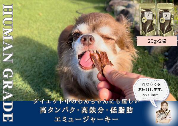 【ふるさと納税】犬の無添加おやつ☆ダイエット中のわんちゃんにも嬉しい高タンパク＆低脂肪のエミュージャーキー2個（FB107）