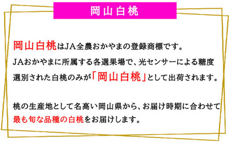 岡山白桃 エース 4～8玉 約1.2kg 岡山県産 【2025年7月上旬～8月下旬迄発送予定】 ／ 白桃 桃 もも 果物 果実 フルーツ 岡山県 美咲町 冷蔵