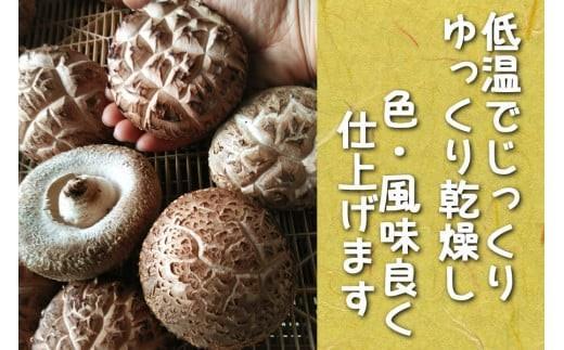 乾燥しいたけ 2袋｜徳用 家庭用 栃木県 矢板市 しいたけ 椎茸 産地直送  乾燥