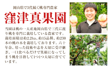 【2026年先行予約】ご家庭用 旬の桃 (なかて~おくての品種) 約2kg (5~8玉) 窪津真果園【配送不可地域あり】（北海道・沖縄・離島）《2026年7月中旬-9月中旬頃出荷(土日祝除く)》岡山県
