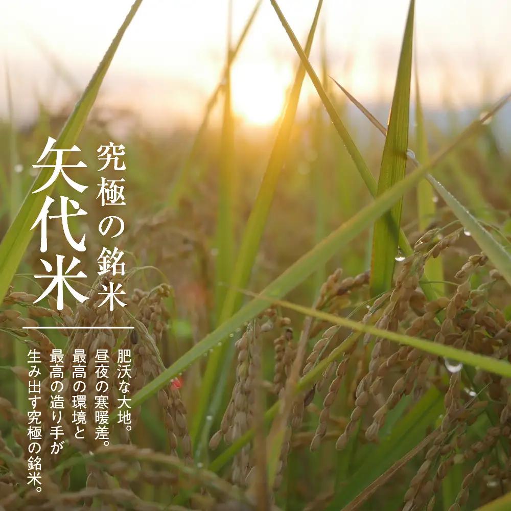 先行予約【令和8年産】【定期便】服部米蔵の妙高矢代産コシヒカリ 10kg×6回 計60kg