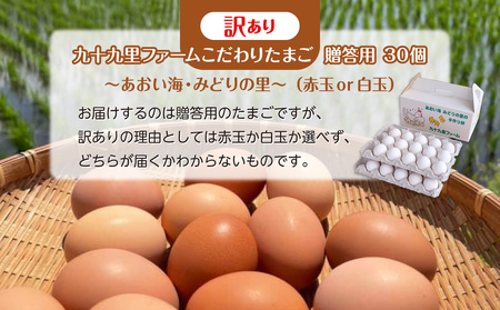 《訳あり》九十九里ファームこだわりたまご贈答用30個～あおい海・みどりの里～（赤玉or白玉） ／ たまご 卵 玉子 タマゴ 白玉 赤玉 訳あり 訳アリ 贈答用 ギフト お歳暮 九十九里ファーム 千葉県