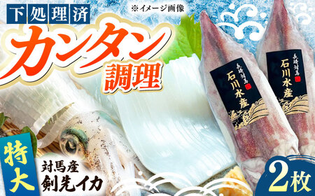 【特大】 剣先 イカ （ 生 冷凍 ）2枚 《対馬市》【石川水産】刺身 塩辛 鮮度抜群 海鮮[WAB027]