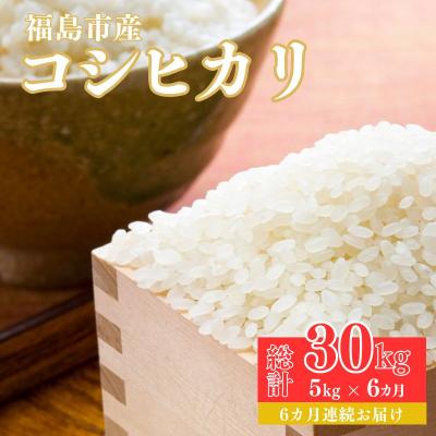 ふるさと納税 福島市 【令和7年産新米先行受付】大文字屋米穀店【定期便6回】コシヒカリ 5kg　精米　No.1502