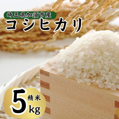 ふるさと納税 加須市 【先行受付】令和8年産　水野農園のコシヒカリ　精米5kg(5kg×1袋)