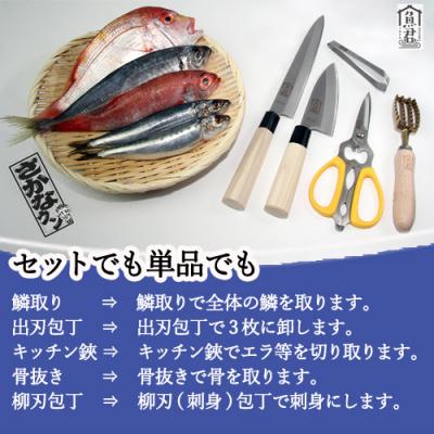 ふるさと納税 関市 【さかなクンオリジナル】キッチンバサミ 魚君 H15-74 |  | 02