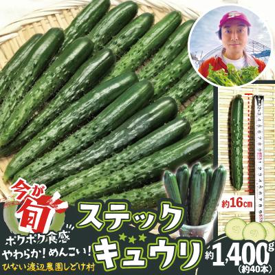 ふるさと納税 大館市 ステックキュウリ ポクポク柔らか!めんこい!約40本 | 