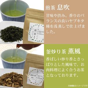 お茶 5種セット ティーバッグ 煎茶 静岡茶 お茶 お茶