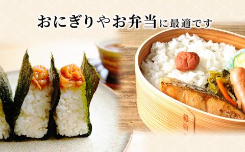 はちみつ福梅ぼし　530g