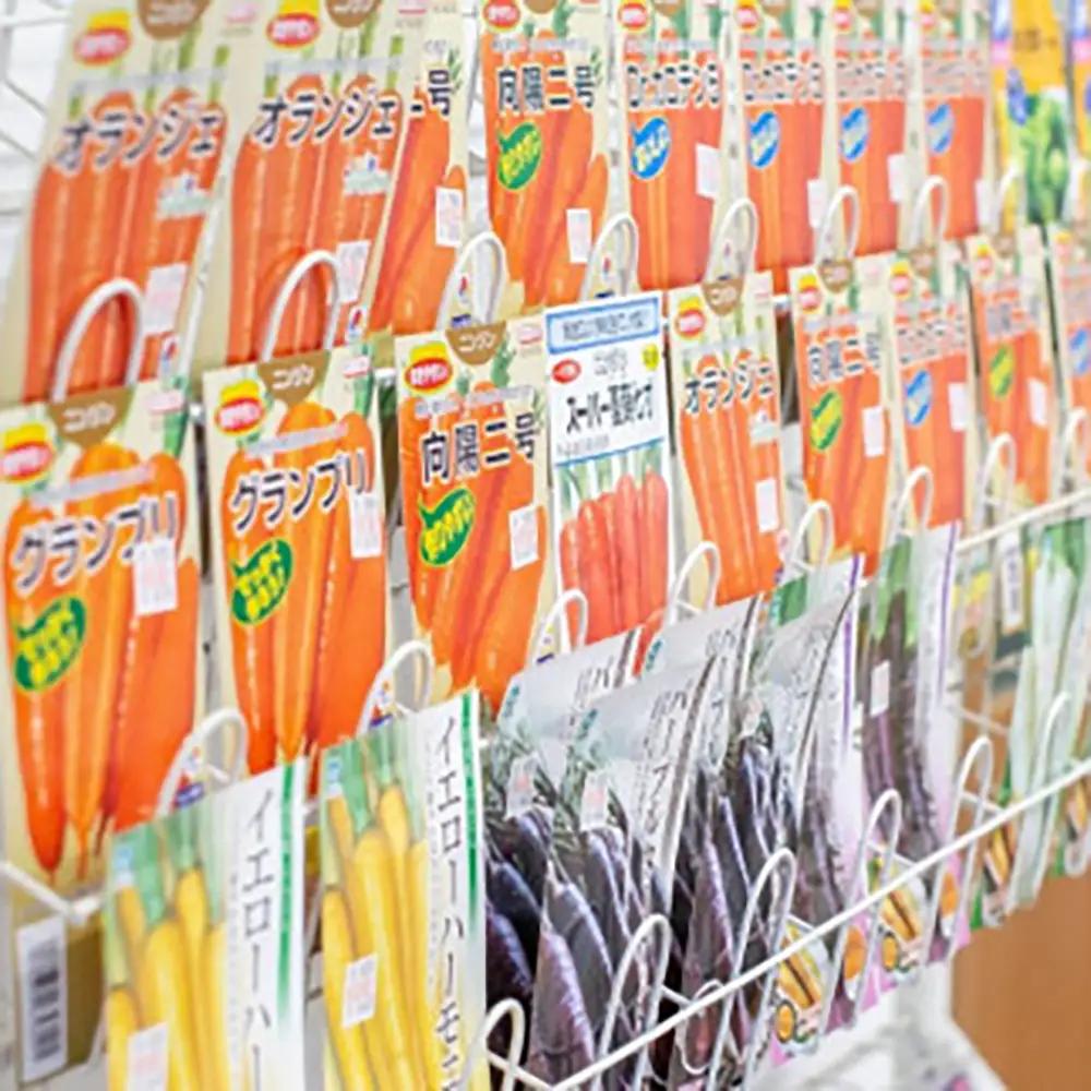 季節のおすすめ野菜おまかせ詰め合わせ6ヵ月定期便 8種～12種類【16104】