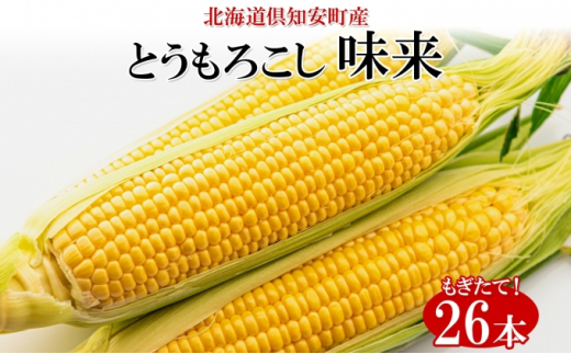 
北海道産 朝もぎ イエロー とうもろこし 味来 みらい 2Lサイズ 26本 約10kg 夏野菜 とうきび 新鮮 野菜 トウモロコシ 甘い ギフト 産地直送 コーン 産直 グリーンアースファーム
