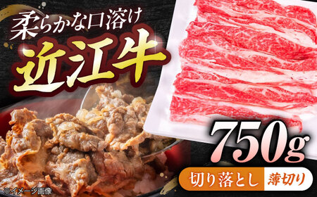 近江牛切り落とし(薄切り)750g BIBE053 近江牛