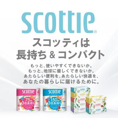 ふるさと納税 八代市 【毎月定期便】 ティッシュ 250組 5箱 日用品 スコッティ 全3回_186-6713 |  | 01