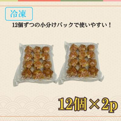 ふるさと納税 藤沢市 【冷凍】湘南餃子(ぎょうざ)100個・焼売(シューマイ)24個セット |  | 01