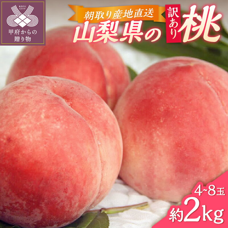 【ふるさと納税】 桃 ピーチ 訳あり 山梨県産 甲府市産 2kg 4〜8個 もぎたて ご家庭用 冷蔵 2025年6月下旬〜8月下旬順次発送 期間限定 数量限定 k346-003