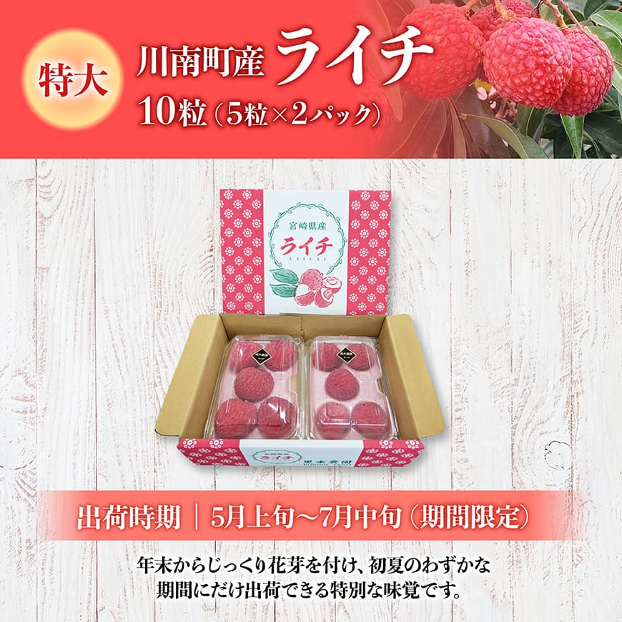 【令和8年産】川南町産ライチ（特大）10粒(5粒×2パック) 【 国産ライチ フルーツ デザート 宮崎県産 】 [B03201]