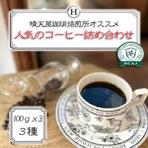人気のコーヒー詰め合わせ　100g×3【1672082】
