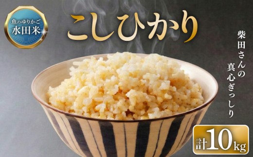 【令和7年産】 環境こだわり栽培 ひこにゃん米 こしひかり 10kg 玄米 米 こめ 10 コシヒカリ 令和7年 7年 順次発送 滋賀 彦根