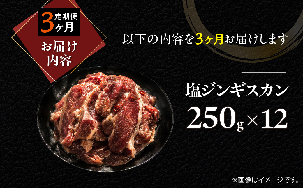 【3ヶ月定期便】塩ジンギスカン250g×12 MROA238