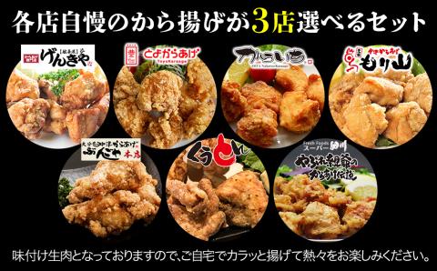 中津からあげ3店堪能セット 家庭調理 味付生肉 中津からあげ 唐揚げ からあげ から揚げ レンジ 冷凍 冷凍食品 もり山 スーパー細川 くうとん ぶんごや げんきや からいち とよからあげ 大分県 中