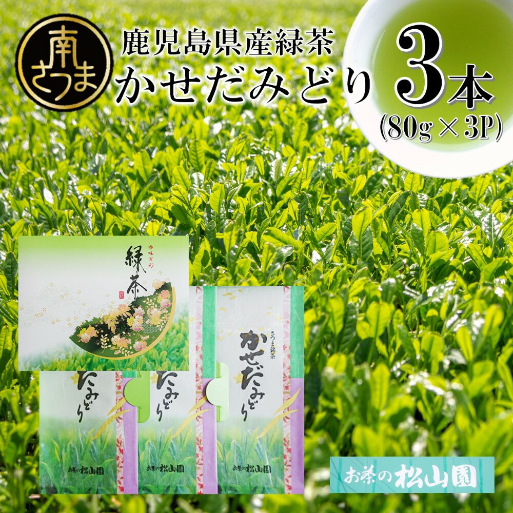【ふるさと納税】 ★2025年新茶★ 鹿児島県産緑茶かせだみどり（80g×3） お茶 茶葉 日本茶 緑茶 飲料 飲み物 ギフト 贈答用 国産 鹿児島県産 南さつま市 お茶の松山園 送料無料